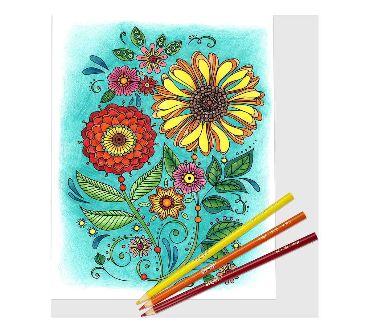 Crayola Colored Pencils 50 count usage example